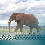 Zambian Traveller