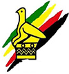 Dynamic Mikosi international Ltd.